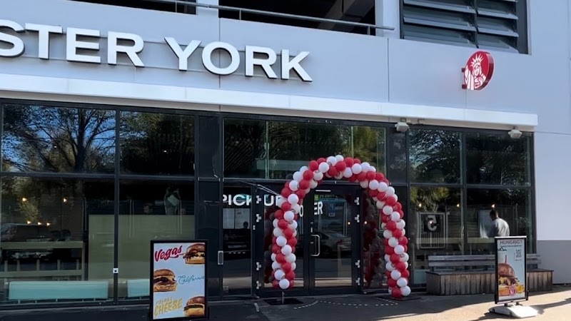 Mister York Gamla ullevi