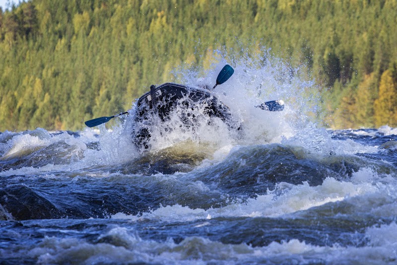 Forsknäckarna