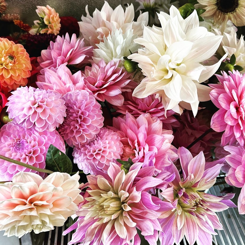 Blomsterfältet på Fröst, Greenroom AB