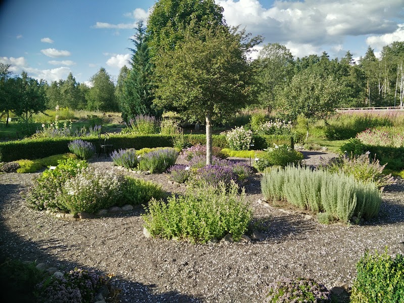 Kalvkätte trädgård