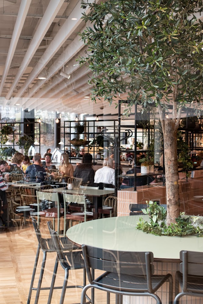Brasserie Sabis