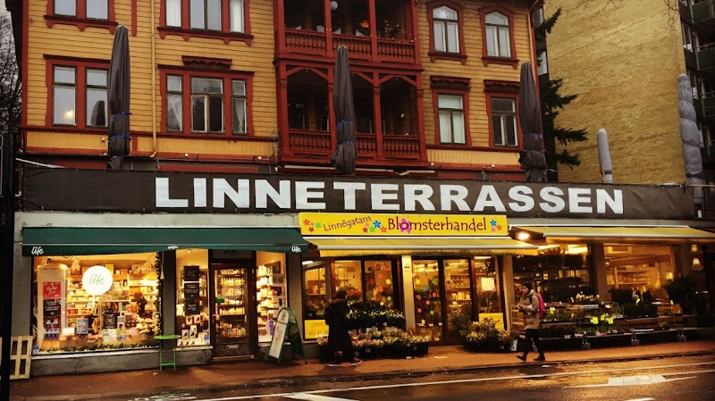 Linnéterrassen & Linnékrogen