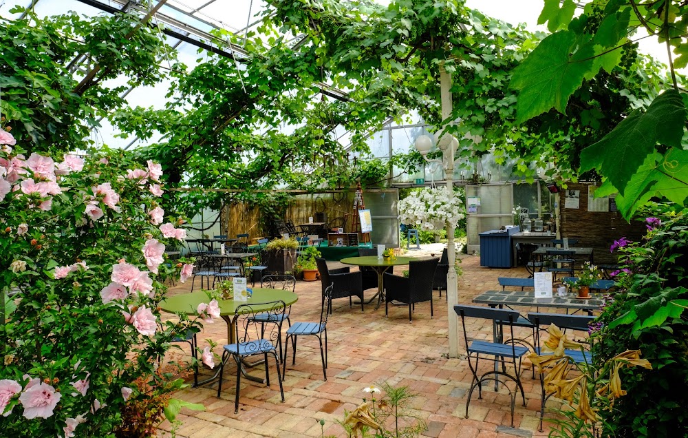 Backagården Café, Vin & Bistro på Österlen