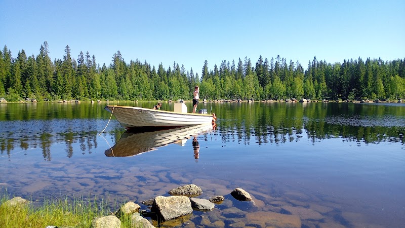 Storöns fisk