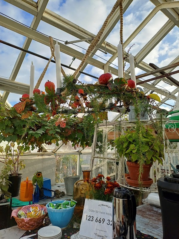 Växthus kafé Bromma arbetsmarknadscenter