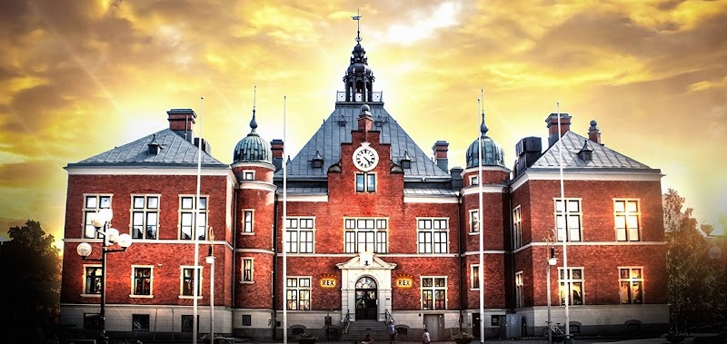 Rex Umeå