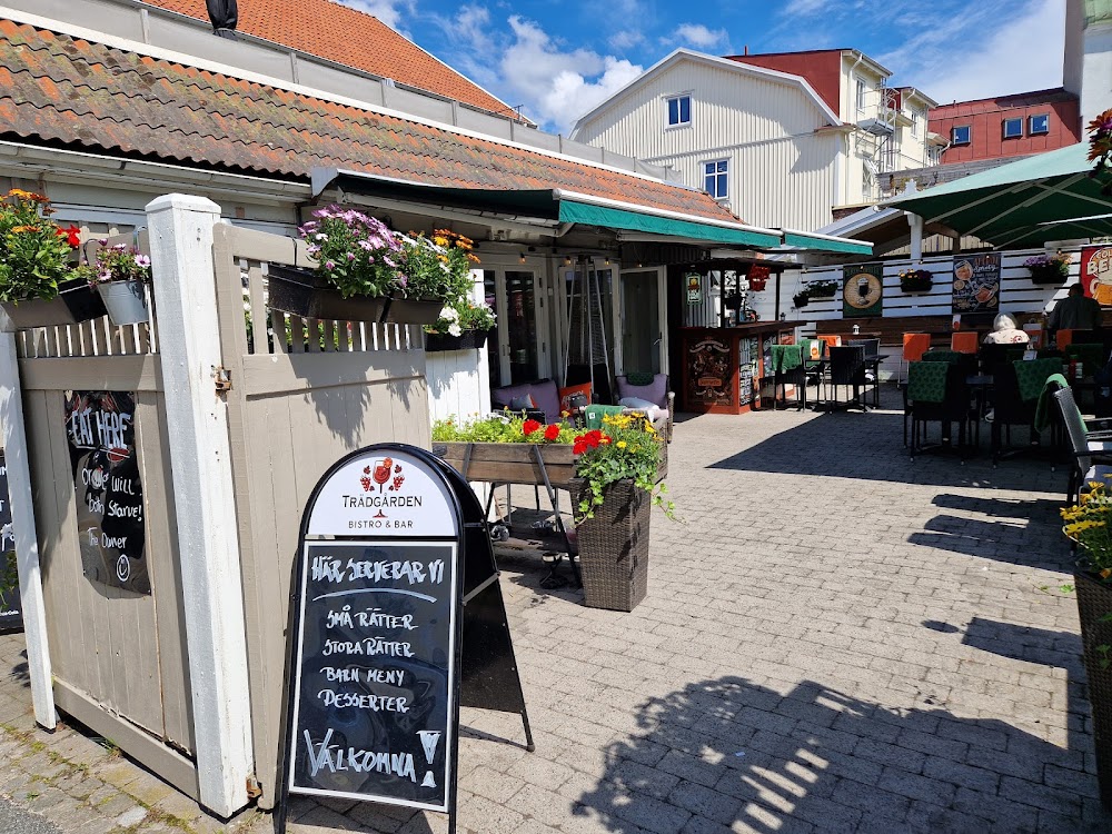 Trädgården