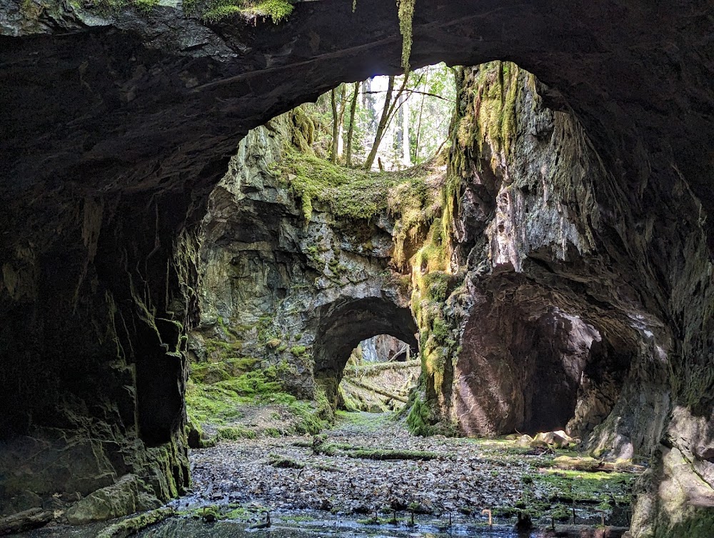 Högbergsfältet
