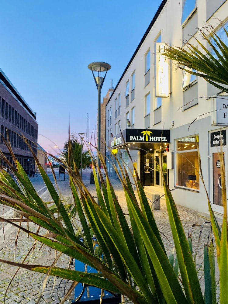 Palm Tree Hotel, Signature Collection by Best Western