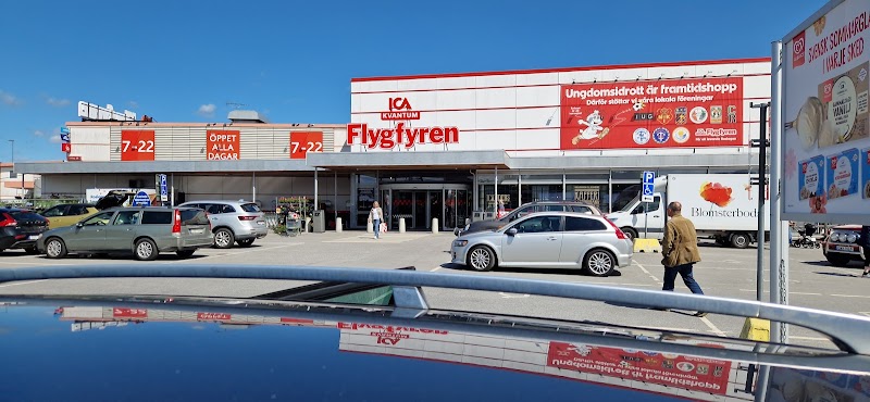 ICANDERs Flygfyren