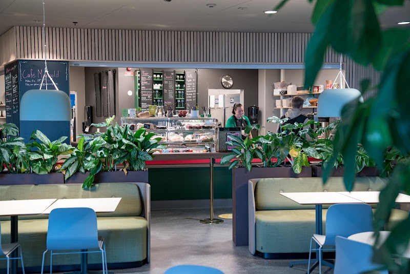 Restaurang Mangold