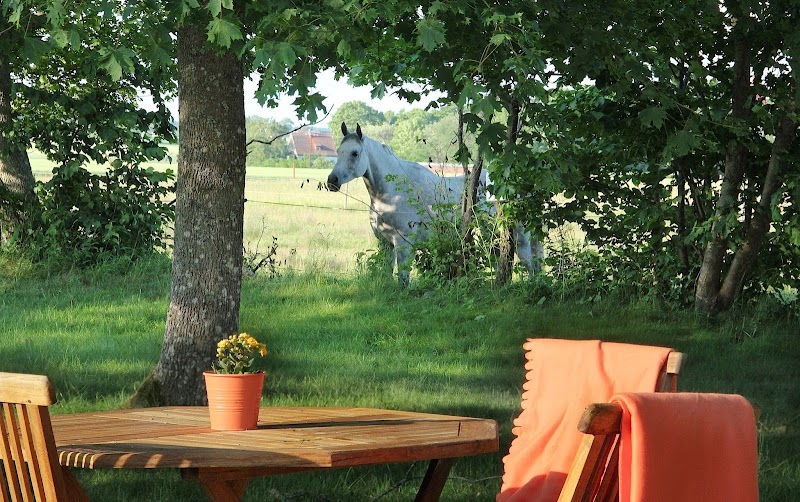 Tryde 1303: Café/Restaurang