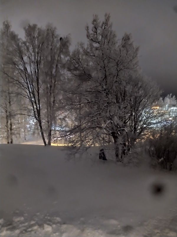 Luleå Garden