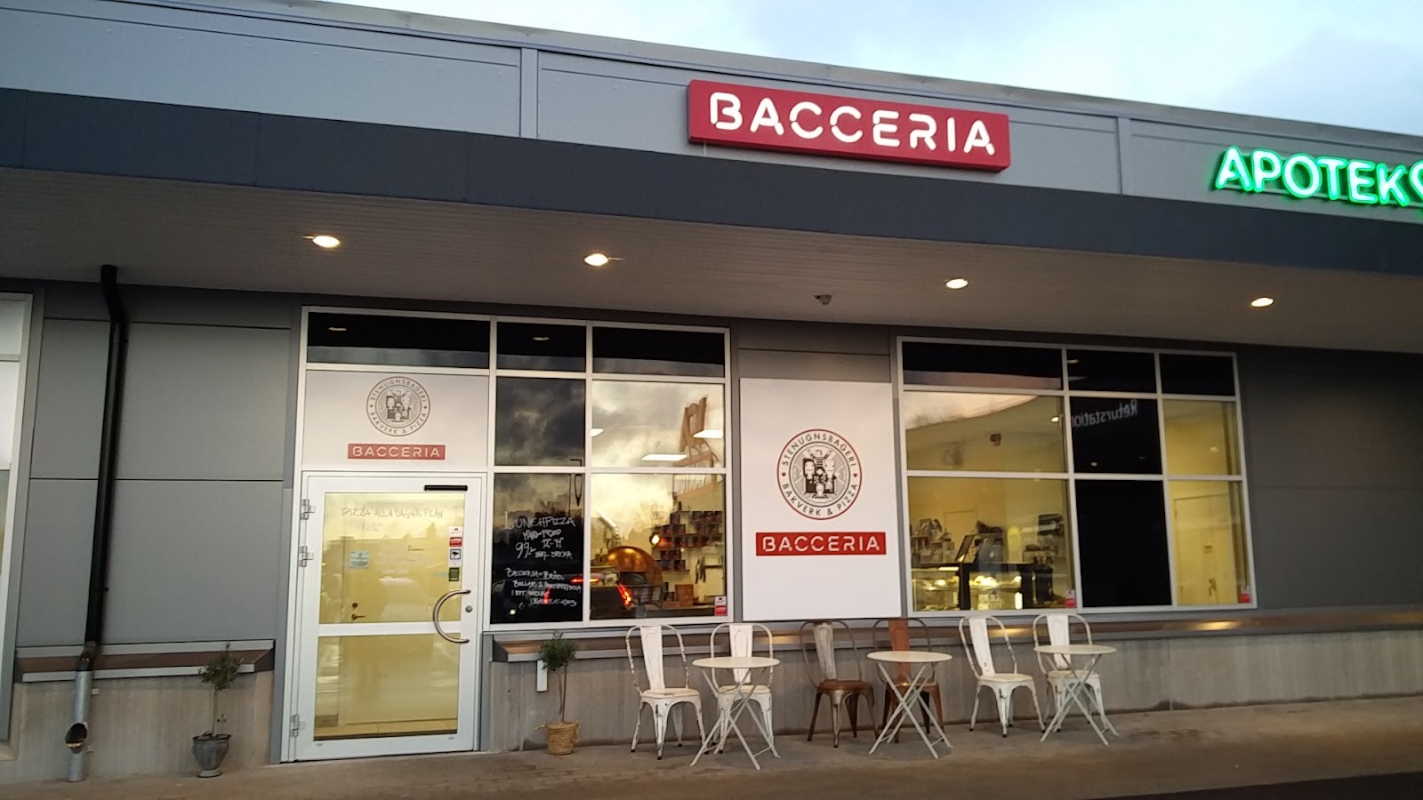 Bacceria