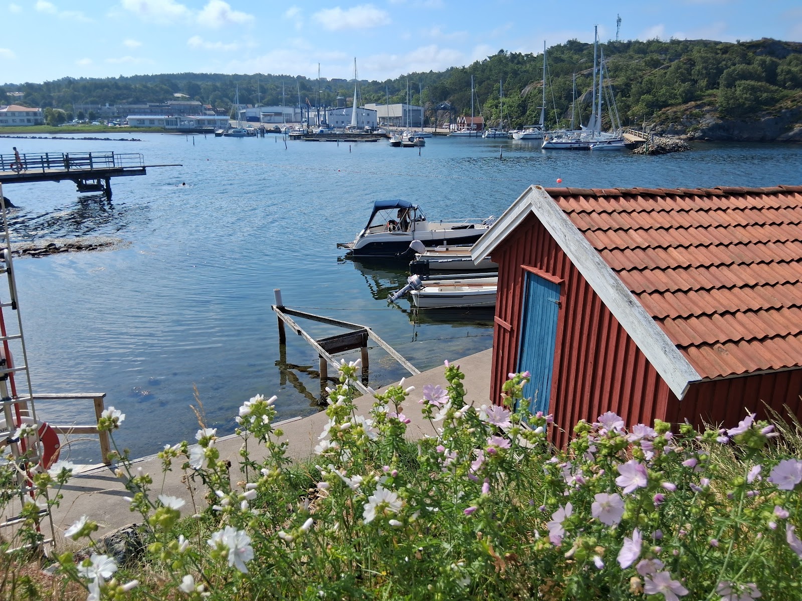 Hotell / Vandrarhem Varvet