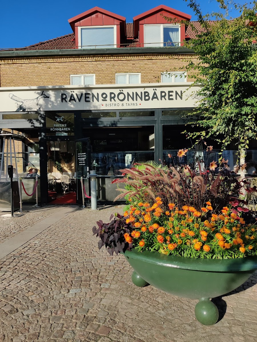 Räven och Rönnbären
