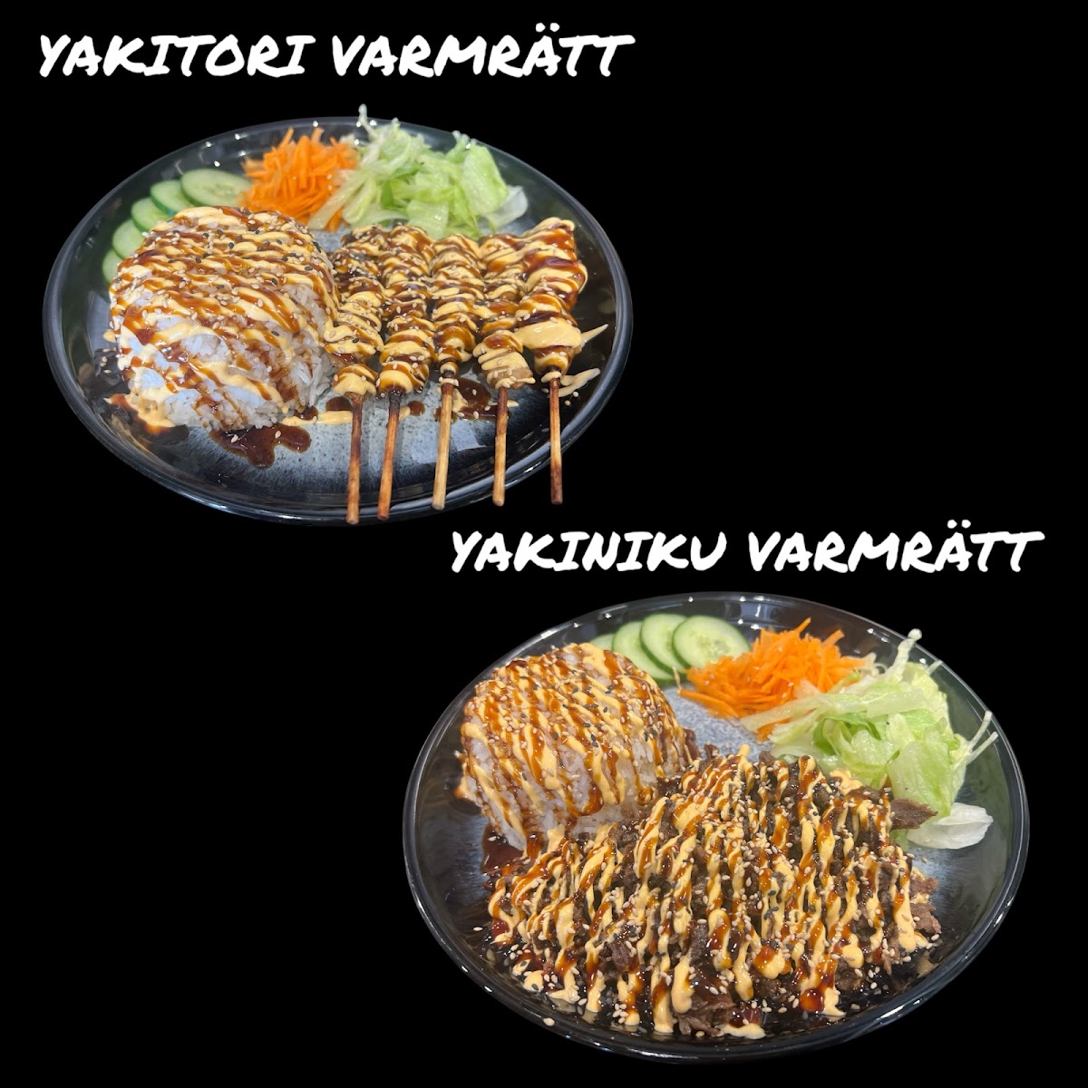 Sani sushi Båstad