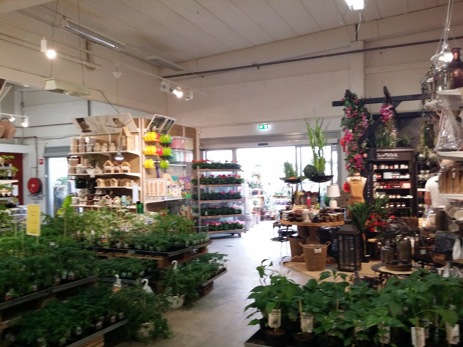 Rångedala Plantskola Lundaskog
