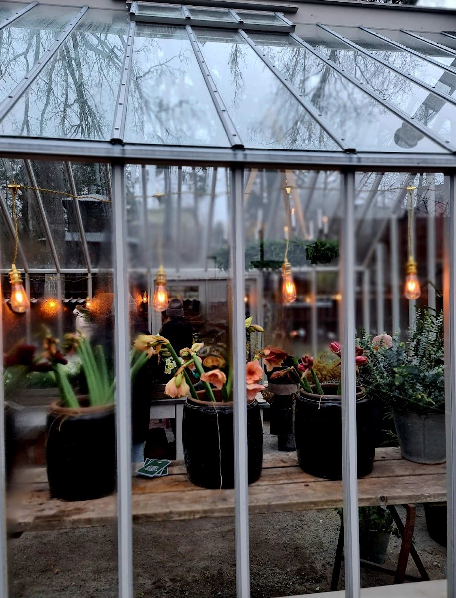 Zetas Finsmakarens Trädgård