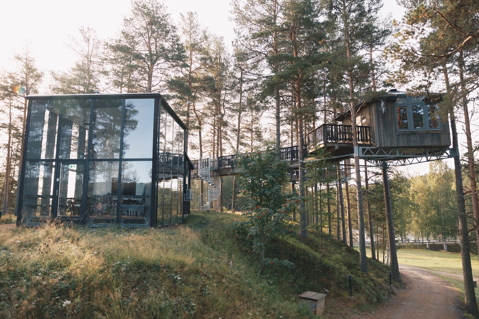 Granö Beckasin AB